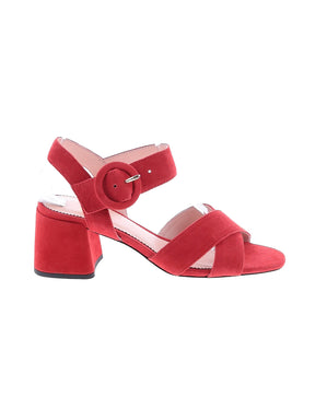 1 shoe size - 5 1/2